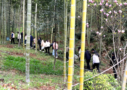 1679967048330139.png image.png