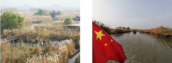 1575277661127189.png 12.png